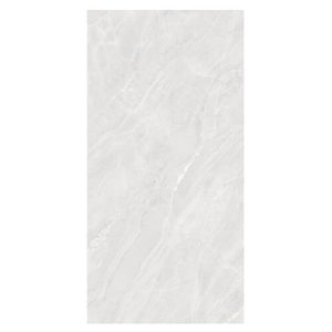 60CM X 120CM CERAMIC TILE (MATT SERIES) - M126703