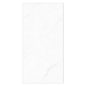 60CM X 120CM CERAMIC TILE (POLISHED SERIES) - M126913