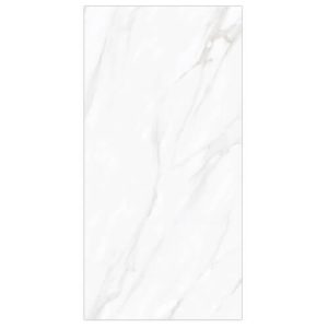 60CM X 120CM CERAMIC TILE (POLISHED SERIES) - M126917