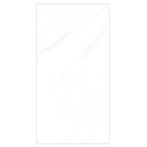 60CM X 120CM CERAMIC TILE (POLISHED SERIES) - M126918