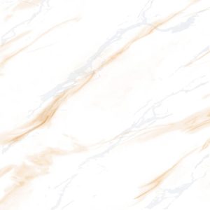 30CM X 30CM CERAMIC TILE (GLOSSY SERIES) - M33975