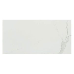 30CM X 60CM CERAMIC TILE (MATT SERIES) - M36900