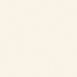 60CM X 60CM CERAMIC TILE (POLISHED SERIES) - M66001