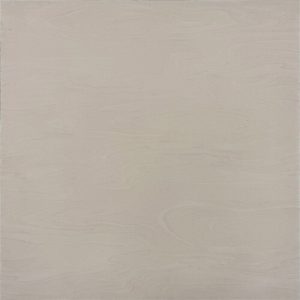 60CM X 60CM CERAMIC TILE (POLISHED SERIES) - M66068
