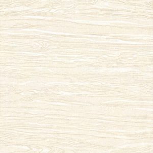 60CM X 60CM CERAMIC TILE (POLISHED SERIES) - M66069