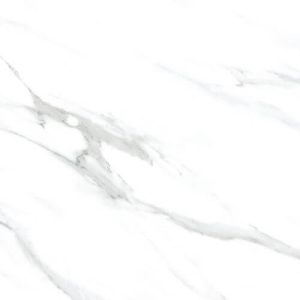 60CM X 60CM CERAMIC TILE (POLISHED SERIES) - M66200