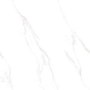 60CM X 60CM CERAMIC TILE (POLISHED SERIES) - M66901