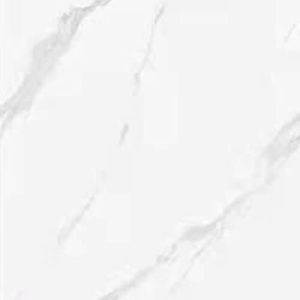 60CM X 60CM CERAMIC TILE (POLISHED SERIES) - M66905