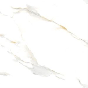 60CM X 60CM CERAMIC TILE (POLISHED SERIES) - M66913