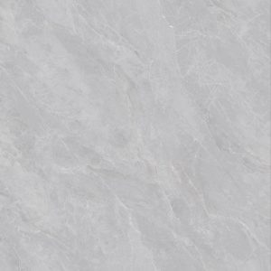 60CM X 60CM CERAMIC TILE (POLISHED SERIES) - M66918