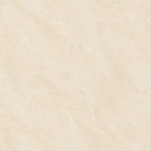 60CM X 60CM CERAMIC TILE (POLISHED SERIES) - M66919