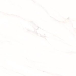 60CM X 60CM CERAMIC TILE (POLISHED SERIES) - M66931