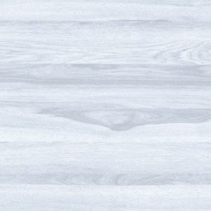 60cm x 60cm ceramic tile (polished series) m66919