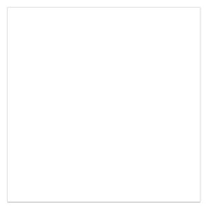 80CM X 80CM CERAMIC TILE (POLISHED SERIES) - M88220