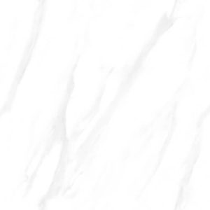 80CM X 80CM CERAMIC TILE (MATT SERIES) - M88700