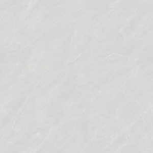 80CM X 80CM CERAMIC TILE (MATT SERIES) - M88701